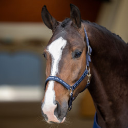 Halfter HV Polo Nena Schwarz