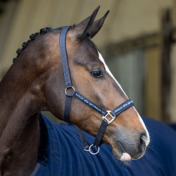 Halfter HV Polo Nena Schwarz