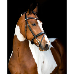 Trense Montar Anatomisches Genickstück Fair Schwarz