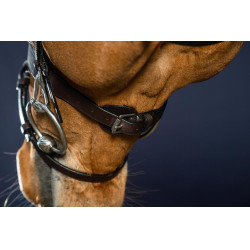 Plattes Lederzaumzeug mit Karabinern Working by Dy'on Schwarz Plattes Lederzaumzeug mit Karabinern Working by Dy'on Schwarz