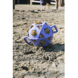Spielball / Heuball Kentucky Spielball / Heuball Kentucky