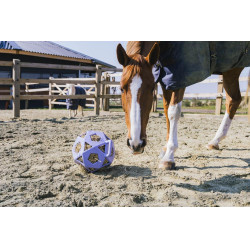 Spielball / Heuball Kentucky Spielball / Heuball Kentucky