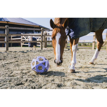 Spielball / Heuball Kentucky Spielball / Heuball Kentucky