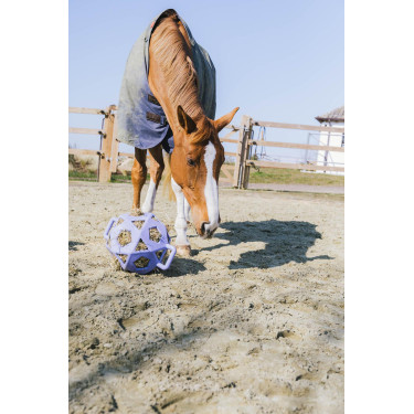 Spielball / Heuball Kentucky Spielball / Heuball Kentucky