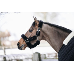 Schaf-Transporthalfter-Kopfstück Kentucky Schwarz Schaf-Transporthalfter-Kopfstück Kentucky Schwarz