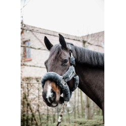 Schaf-Transporthalfter-Kopfstück Kentucky Grau