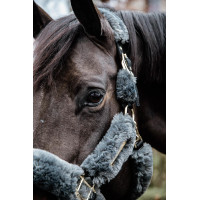 Schaf-Transporthalfter-Kopfstück Kentucky Grau