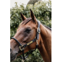 Kopfstück für anatomisches Lederhalfter Kentucky Braun