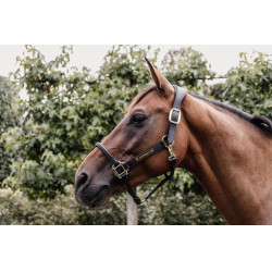 Kopfstück für anatomisches Lederhalfter Kentucky Schwarz Kopfstück für anatomisches Lederhalfter Kentucky Schwarz