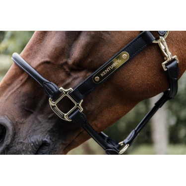 Kopfstück für anatomisches Lederhalfter Kentucky Kopfstück für anatomisches Lederhalfter Kentucky