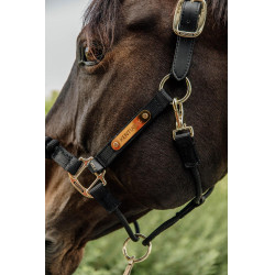 Kontrollhalfter-Kopfstück Kentucky Schwarz