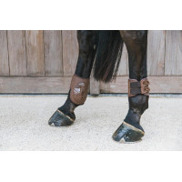 Elastische Fesselkopfgamasche Kentucky Schwarz