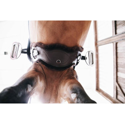 Abnehmbares Schaffell für kurze anatomische Gurt Kentucky Braun