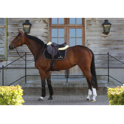 Satteldecke ohne Logo Kentucky Schwarz