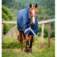 Pferdedecke Horseware Amigo® Bravo 12 Plus 250g 1200D Schwarz
