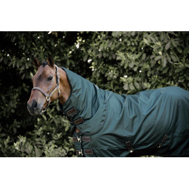 Halsdecke All Weather Wasserdicht Pro Kentucky