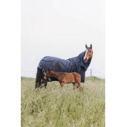 Turnout Rug All Weather Waterproof Comfort Kentucky Turnout Rug All Weather Waterproof Comfort Kentucky