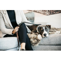 Handgefertigte Perlen-Hundeleine Kentucky Hellblau