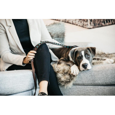 Handgefertigte Perlen-Hundeleine Kentucky Schwarz