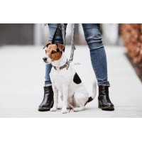 Hundeleine Hahnentritt Kentucky Schwarz