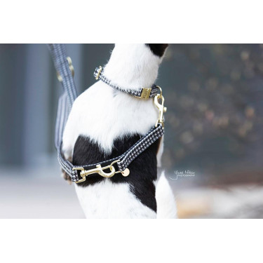 Hundeleine Hahnentritt Kentucky Schwarz Hundeleine Hahnentritt Kentucky Schwarz