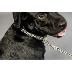 Hundeleine Hahnentritt Kentucky Braun Hundeleine Hahnentritt Kentucky Braun