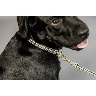 Hundeleine Hahnentritt Kentucky Braun Hundeleine Hahnentritt Kentucky Braun