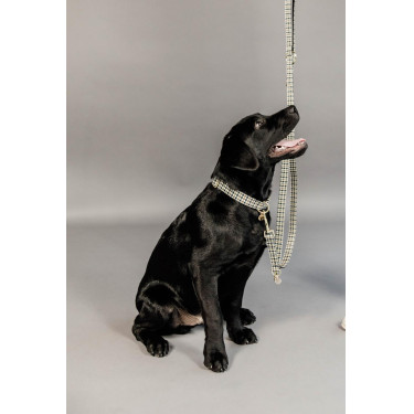 Hundeleine Hahnentritt Kentucky Braun Hundeleine Hahnentritt Kentucky Braun