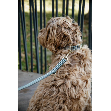 Hundeleine Hahnentritt Kentucky Braun Hundeleine Hahnentritt Kentucky Braun