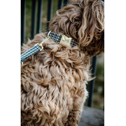 Hundeleine Hahnentritt Kentucky Braun Hundeleine Hahnentritt Kentucky Braun