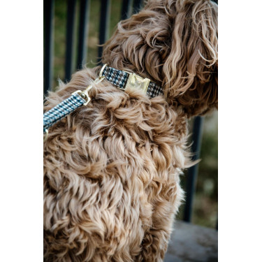 Hundeleine Hahnentritt Kentucky Braun Hundeleine Hahnentritt Kentucky Braun