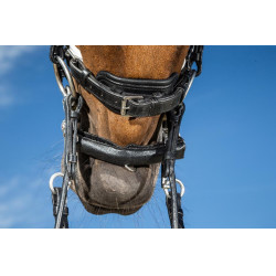 Dy'on Trense Kollektion Dressur Flachleder Reithalfter Breit Lack Weißes Futter Schwarz