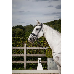 Bridon Dy'on Collection Dressage Rundleder Kombinierte Lackierte Breite Nasenriemen