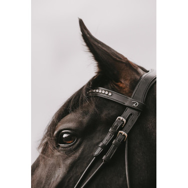 Bridon Dy'on Collection Dressage Rundleder Kombinierte Lackierte Breite Nasenriemen Bridon Dy'on Collection Dressage Rundleder Kombinierte Lackierte Breite Nasenriemen
