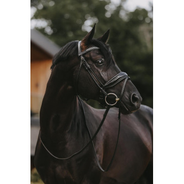 Bridon Dy'on Collection Dressage Rundleder Kombinierte Lackierte Breite Nasenriemen Bridon Dy'on Collection Dressage Rundleder Kombinierte Lackierte Breite Nasenriemen