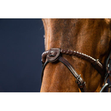 Unterkinnkette Dy'on 1/2" mit 2 abnehmbaren Befestigungen Unterkinnkette Dy'on 1/2" mit 2 abnehmbaren Befestigungen