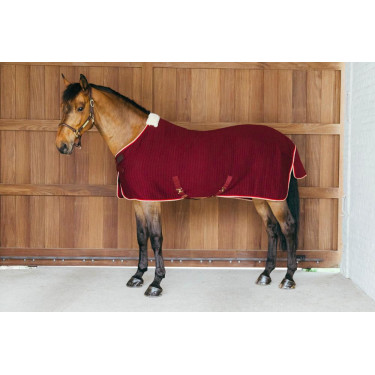 Trockendecke Kentucky PROtherm