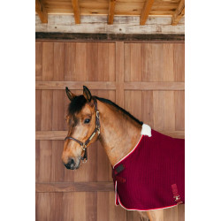 Trockendecke Kentucky PROtherm Bordeaux Trockendecke Kentucky PROtherm Bordeaux