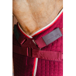 Trockendecke Kentucky PROtherm Bordeaux Trockendecke Kentucky PROtherm Bordeaux