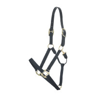 Nylon Halfter Breakaway Kentucky Schwarz Nylon Halfter Breakaway Kentucky Schwarz