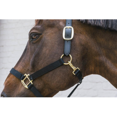 Nylon Halfter Breakaway Kentucky Nylon Halfter Breakaway Kentucky