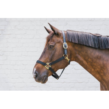 Nylon Halfter Breakaway Kentucky Nylon Halfter Breakaway Kentucky