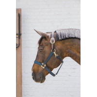Nylon Halfter Breakaway Kentucky Marine Marineblau Nylon Halfter Breakaway Kentucky Marine Marineblau