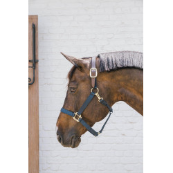 Nylon Halfter Breakaway Kentucky Marine Marineblau Nylon Halfter Breakaway Kentucky Marine Marineblau