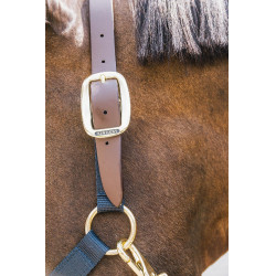 Nylon Halfter Breakaway Kentucky Marine Marineblau Nylon Halfter Breakaway Kentucky Marine Marineblau