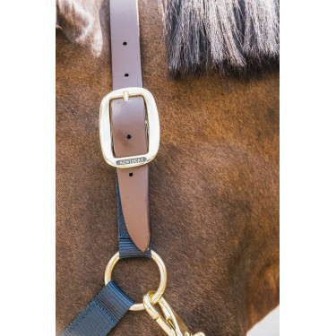 Nylon Halfter Breakaway Kentucky Marine Marineblau Nylon Halfter Breakaway Kentucky Marine Marineblau