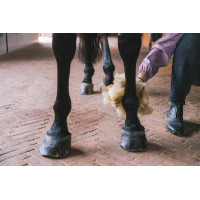 Laine thérapeutique 150g Grooming Deluxe by Kentucky