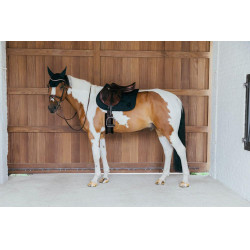 Satteldecke Kentucky Wave Jumping Schwarz Satteldecke Kentucky Wave Jumping Schwarz