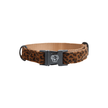 Hundehalsband Leopard Kentucky Hundehalsband Leopard Kentucky