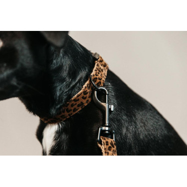 Hundehalsband Leopard Kentucky Hundehalsband Leopard Kentucky